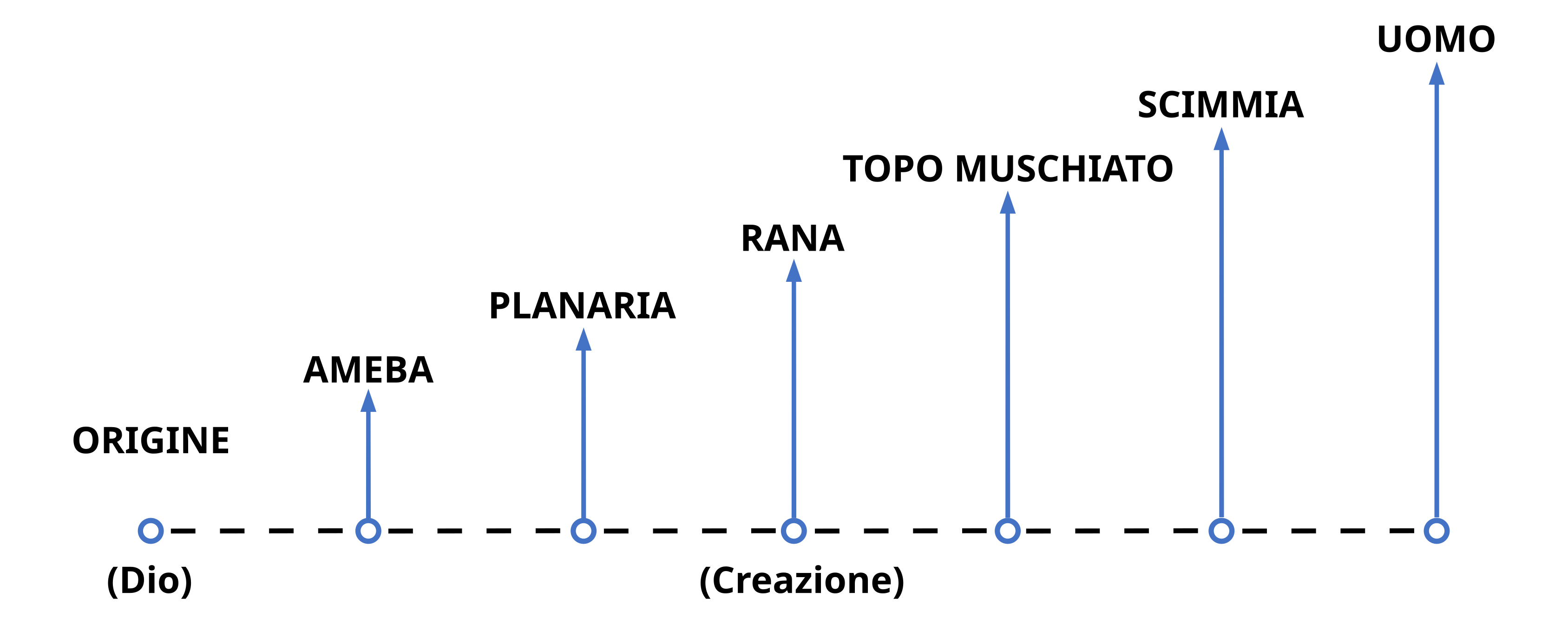 cap1-30